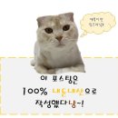 신탄진 수타면발 최고 중화요리 맛집 추천 [ 미강손짜장 ]