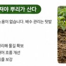 근모농장 네이버블로그