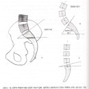 요추간판으로 인한 통증과 기본적 이학적 검사(Lumbar Disk Pain and Standard Physical Examination Test) 이미지