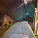 감나무집공할머니민박 | 남해로 여름휴가 1일차 (나만알고 싶은 독일한옥민박집에서)