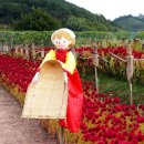 진주 문산 허수아비축제 이미지