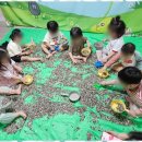 사랑숲어린이집 - 창원시 진해구 | 사랑숲어린이집