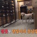 인천반려동물농장 이미지