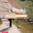 승자농장 이미지