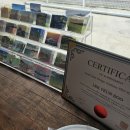 아로마 힐링 타로 상담 이미지