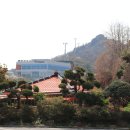 더 리얼사우스 이미지