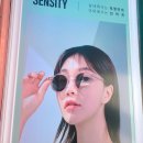 하버드안경원 이미지