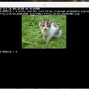 내장터미널 이미지