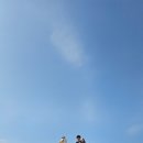 입장료 무료 놀이공원 6살, 3살 아이랑 가평 꿈의동산