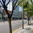 사당3동주민센터 | 8개월 아기 불소도포 하정훈소아과 불소바니쉬 다녀온 후기