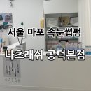 나츠래쉬 이미지