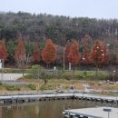 시리미농장 이미지