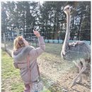 장신농장 이미지