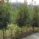 인영상사 이미지