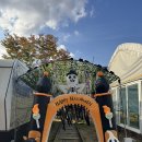 화니캠핑앤글램핑 | 가평 글램핑 추천 풀문캠핑앤글램핑 카라반 후기