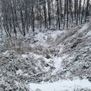 양재동 근린생활시설 이미지