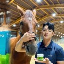 피치인터내셔널
