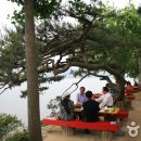 연춘