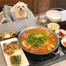 쉐프의부대찌개 인천송도점 | 송도 맛집 부대찌개 인천 애견동반 식당 닭화부대