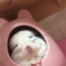 어반스테이 동탄 이미지