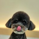 메모리멍 이미지