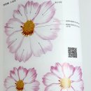 당신의 꽃그림, 보태니컬 아트 이미지