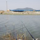 국화낚시터 이미지