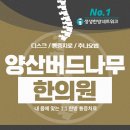 양산버드나무한의원 | 양산버드나무한의원 추나요법 디스크 치료를