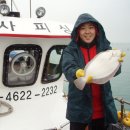 고하대로 672 ~672-1 이미지