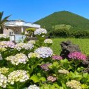 라프스테이 | 제주 동쪽(제주-조천-구좌-성산) 일정예정