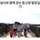 밭담 이미지