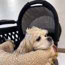 진도가든 이미지