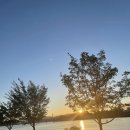 세븐일레븐 남양주송촌리점 이미지