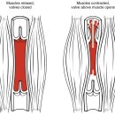 시원비뇨의학과의원 이미지