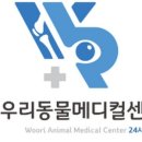 서울동물메디컬센터 이미지