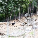 산양마루목장 이미지