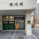 개나리유치원 | 삼송애견유치원)체계적이고 따뜻한 반려동물 케어 개나리 후기