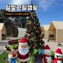 38P : 동두천 당일치기 캠핑 크리스마스 달빛그릴캠핑 솔직 이용 후기