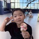 한국체대 천마(태권도) 네이버블로그