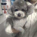 포미포밍 이미지