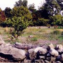 하례1리 이미지