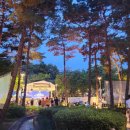 2.28기념중앙공원 이미지