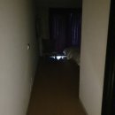 여우비 호텔 이미지