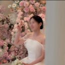 솔피노 | 2026년 5월 아이폰 스냅 🌱솔피노 스냅 계약 후기💕