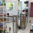 루비펫살롱 이미지