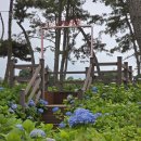 낙지공원 노을길야영장 무인카페 이미지