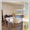 펫퍼스트24시 서울송파점 강아지고양이분양말티푸말티즈푸들 이미지