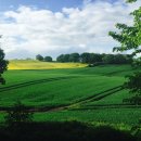 바우길 17구간 | 강릉, 인생샷 명지, 안반데기, 후기, 인기이유, 주차 등 총정리