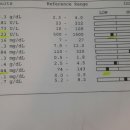 저희 강아지가 자일리톨을 먹어서 혈액검사받고왔습니다... 검사표좀 봐주세요 이미지