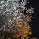 신갈근린공원 이미지